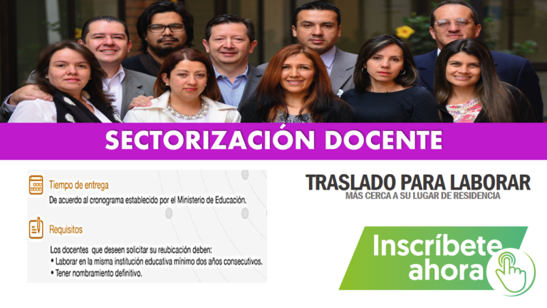 sectorización docente